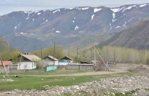 Маралдының тағдыры: үміт пен күдік?