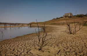 Қазақ суға тәуелділіктен құтылатын күн туа ма?