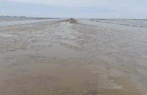 Батыс Қазақстанда еріген қар суы жолды шайып кетті