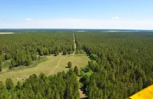 БҚО-да орман шаруашылығы мекемелерінің базасын нығайту үшін 931 млн теңге бөлініп отыр