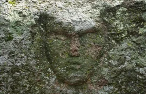 Ақмола облысында ерекше артефакт табылды