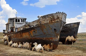 Аралға қатер тағыда төнді!
