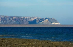 Арал тағдыры –халық тағдыры