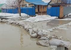 Былтырғы апат, биылғы қауіп: өзгеріс бар ма?