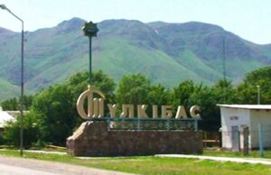 Түлкібас па, Түркібас па?