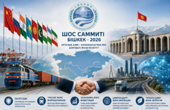 Үлкен ұйымдағы шағын мемлекеттердің үлкен мүмкіндігі